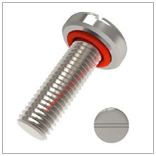 Round Slotted Head Screw with Rubber Washer